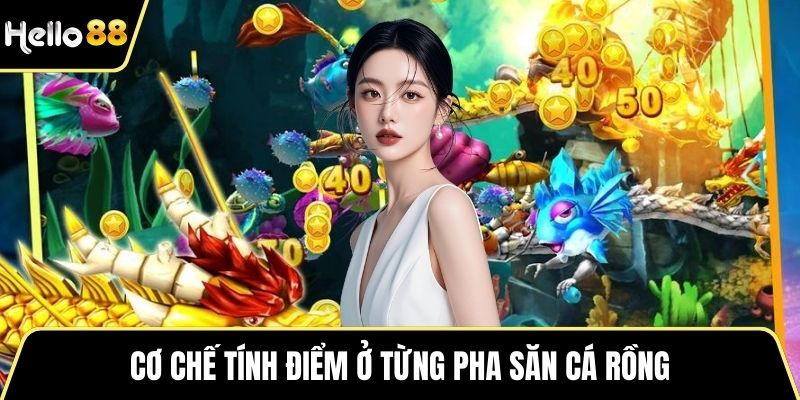 Cơ chế tính điểm ở từng pha săn cá rồng