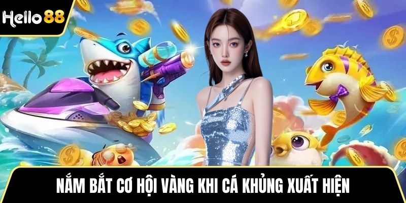 Nắm bắt cơ hội vàng khi cá khủng xuất hiện