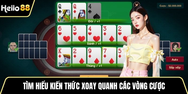 Tìm hiểu kiến thức xoay quanh các vòng cược