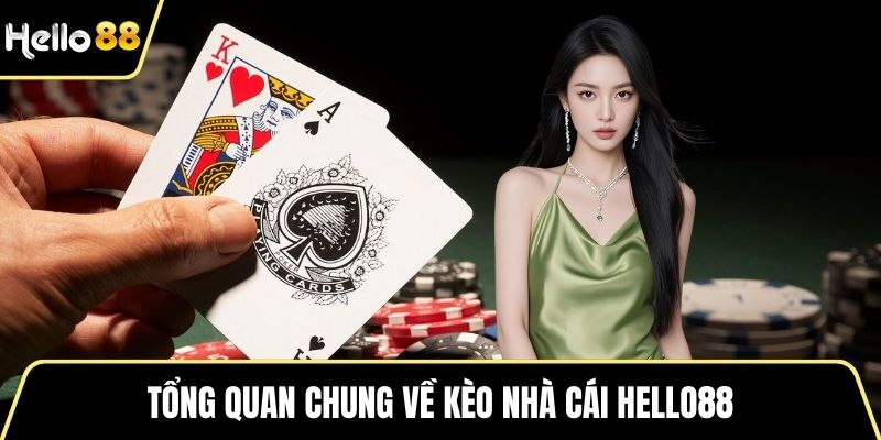 Tổng quan chung về kèo nhà cái HELLO88